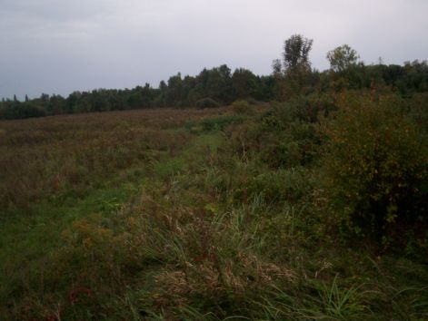 000_1517.jpg